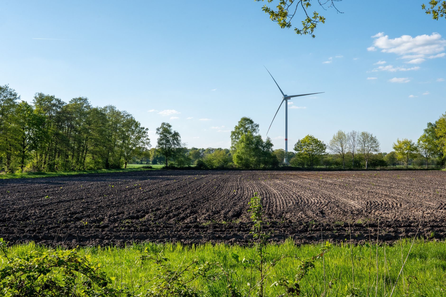 Agricultura Regenerativa y Huella de Carbono: Guía para Marcas