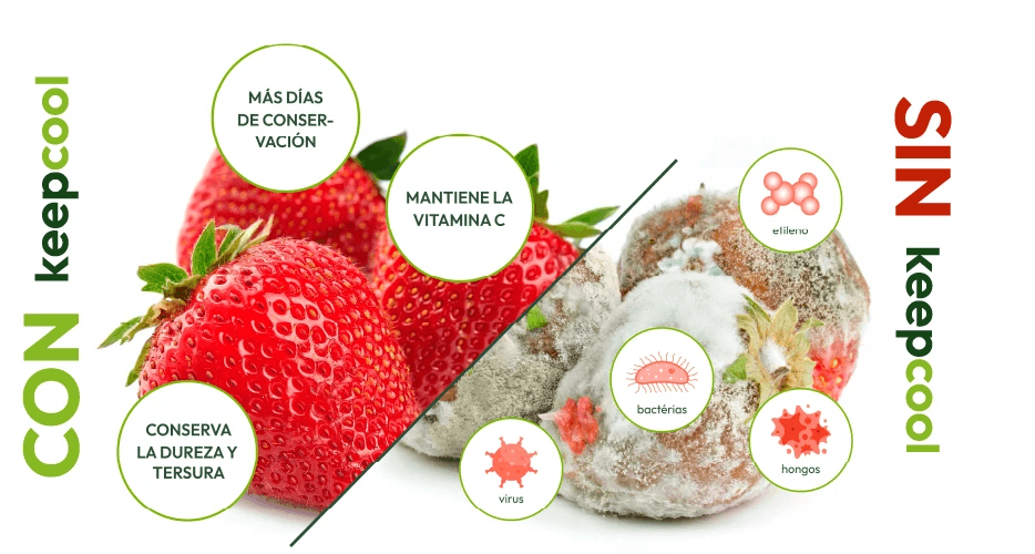 KeepCool product with sustainability data